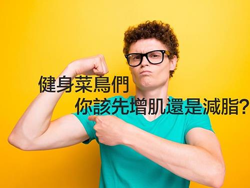 健身新手們先該減脂還是增??？